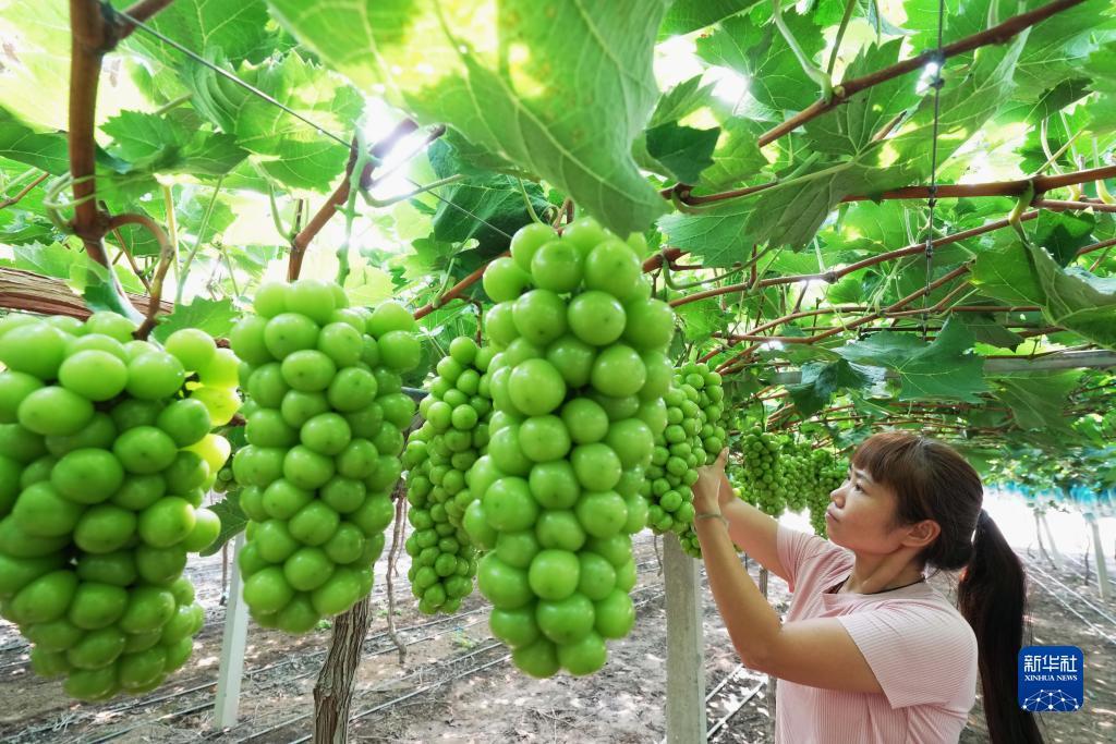 美高梅4688.1010